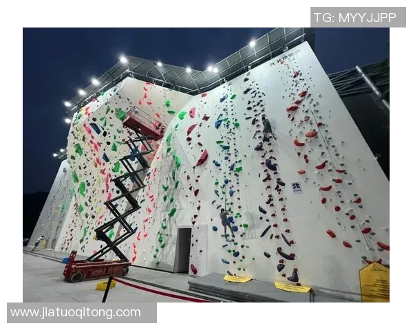 南京攀岩队的意识提升与团队精神探讨聚焦攀岩运动的未来发展