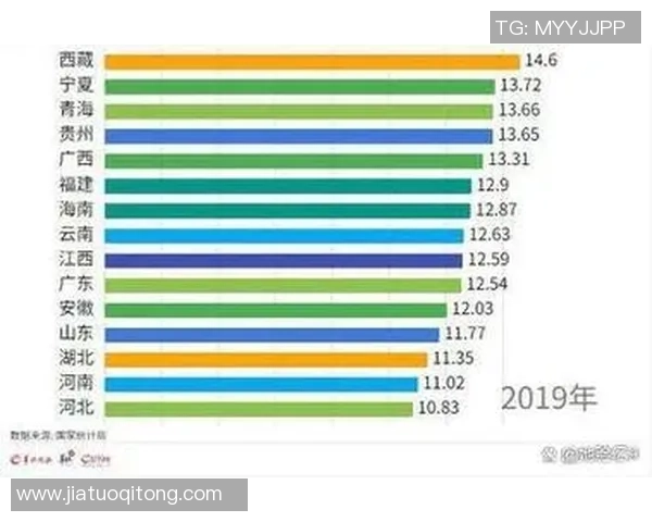 武汉羽毛球队转型之路:得失与未来展望分析 武汉羽毛球队转型之路:得失与未来展望分析